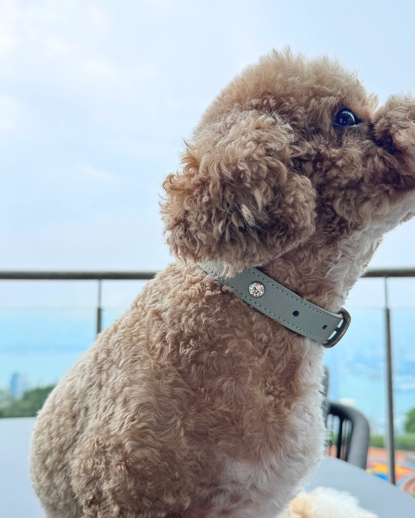 Limited Edition Crystal Leather Collar | Pastel Green