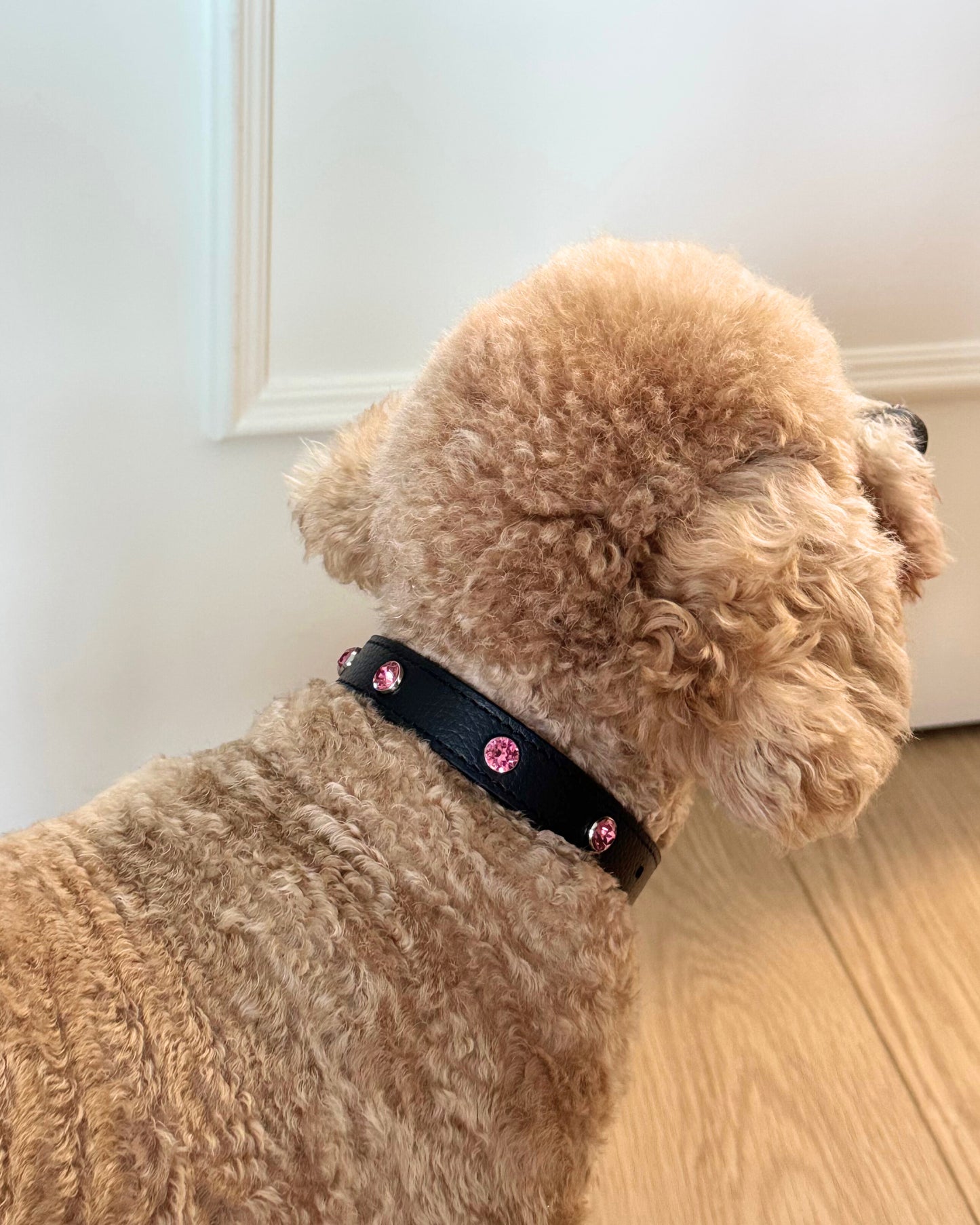 Paw Power Crystal Leather Collar | Black + Pink