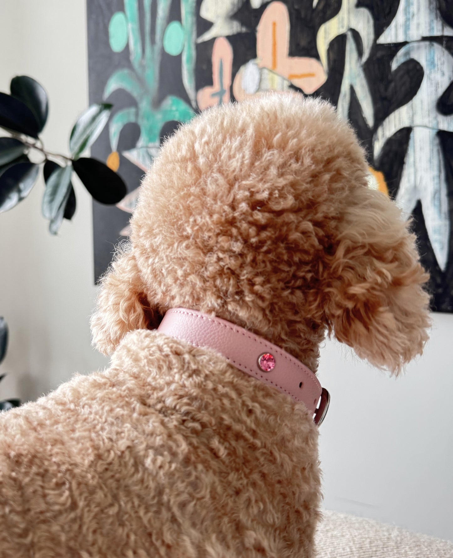 Limited Edition Crystal Leather Collar | Pastel Pink