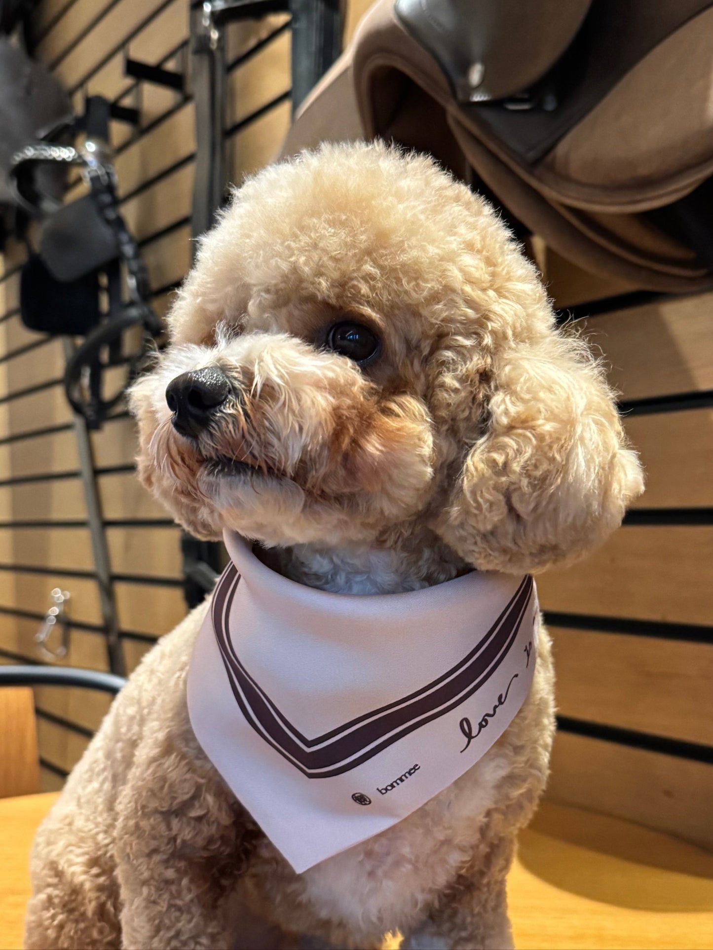 LANG x Bommee Silk Pet Bandana