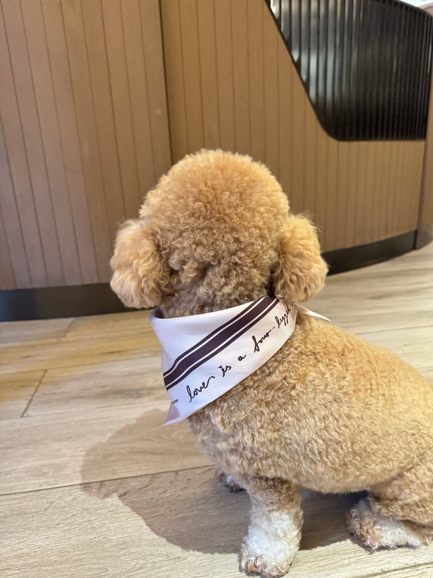 LANG x Bommee Silk Pet Bandana