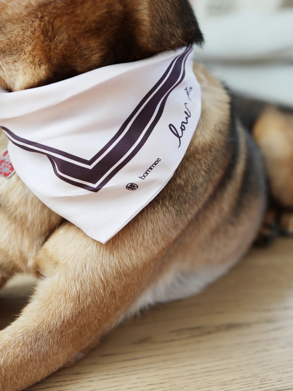 LANG x Bommee Silk Pet Bandana