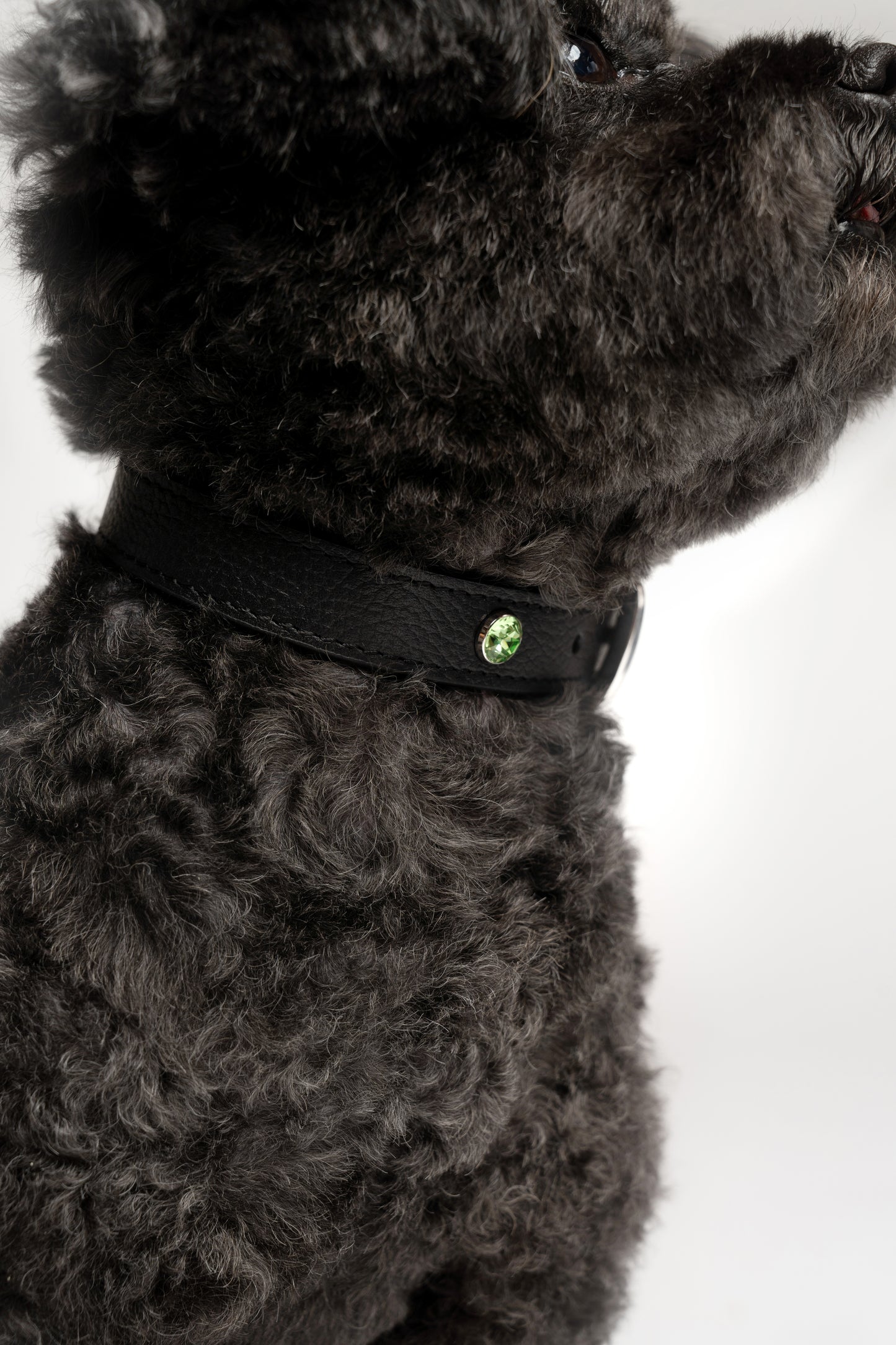 Handcrafted Leather Birthstone Collar | Black + 12 Gem Options)