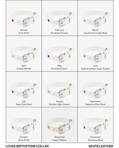 Handcrafted Leather Birthstone Collar | White + 12 Gem Options