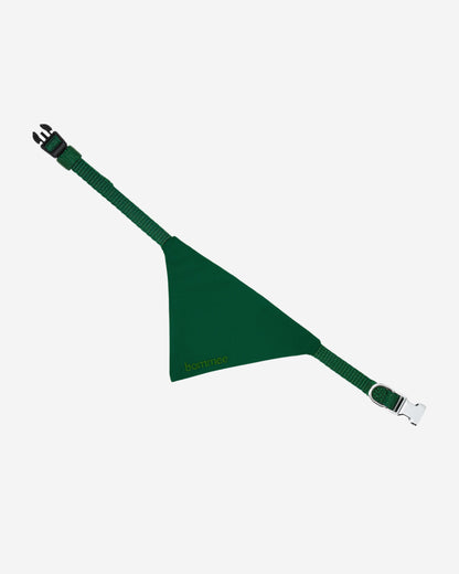 Nylon Pet Collar | Pine Green