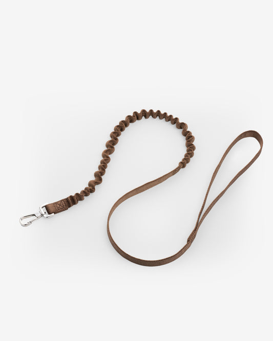 Nylon Bungee Dog Leash | Chocolate