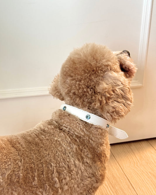 Paw Power Crystal Leather Collar | White + Blue