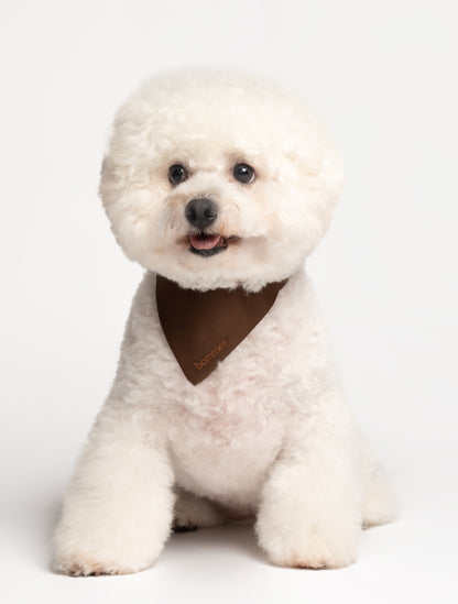 Nylon Pet Collar | Chocolate