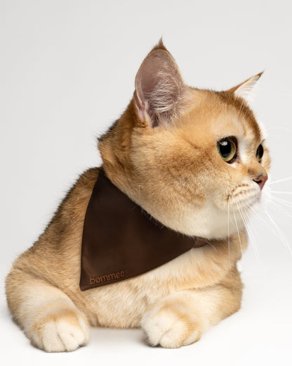 Nylon Pet Collar | Chocolate