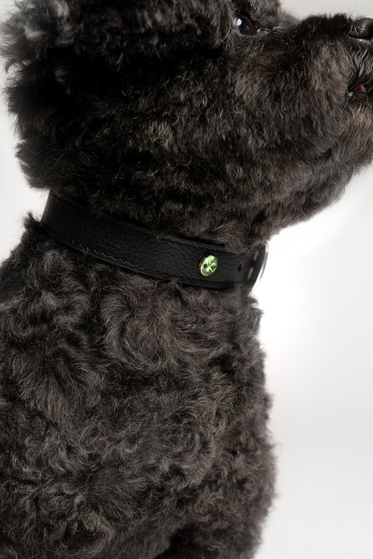 Handcrafted Leather Birthstone Collar | Black + 12 Gem Options)