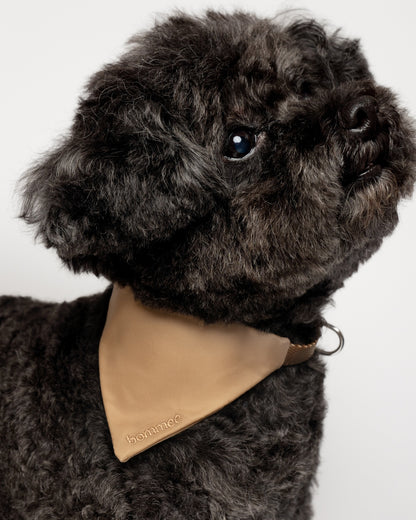 Nylon Pet Collar | Latte